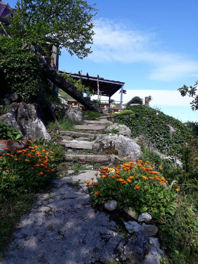 Camp Sunny Hills Hotel Virpazar Exterior foto